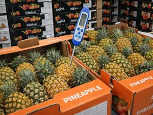 Inbound Greece Fruit Inspections